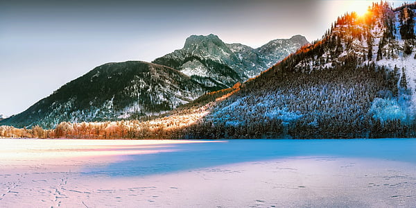 snow-capped mountain surrounded with trees at daytime thumbnail