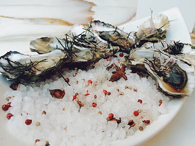 oyster food on plate thumbnail