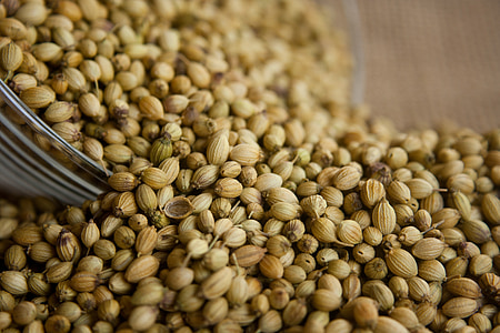 bowl of brown seeds thumbnail