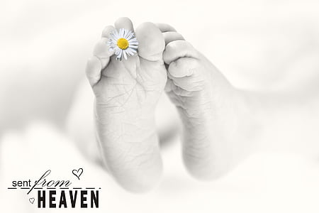 grayscale photo of human foot thumbnail