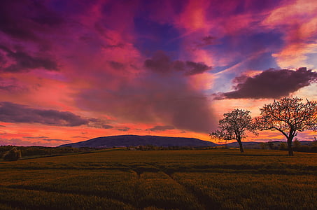 grass field and trees near mountain thumbnail