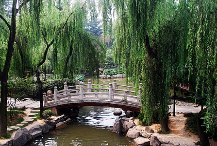 white wooden bridge thumbnail