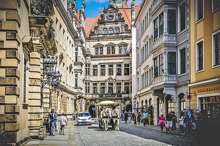 horse with wagon walking on street between buildings thumbnail