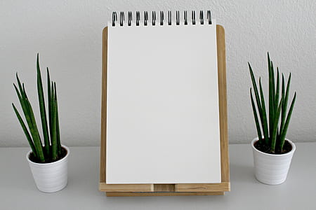wood, desk, notebook, leaves thumbnail