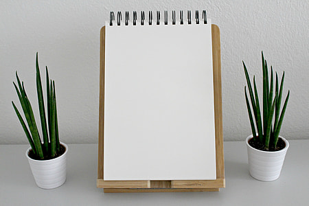 white spiral notebook with stand beside two linear leaf plants thumbnail