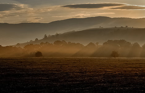 landscape, fog, morning, sunshine thumbnail