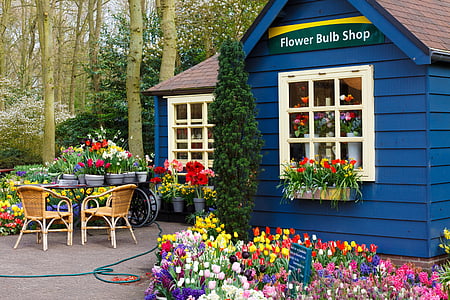 Flower Bulb Shop thumbnail