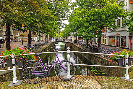 purple bicycle parked on bridge with white metal handrail at daytime thumbnail