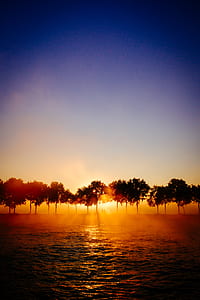 sky, sunshine, trees, sunrise thumbnail