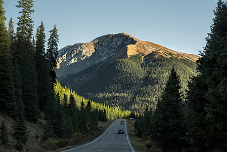 concrete road between trees thumbnail