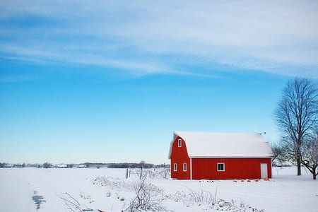 Red Barn House in the Middle of Snow Field During Daytime thumbnail