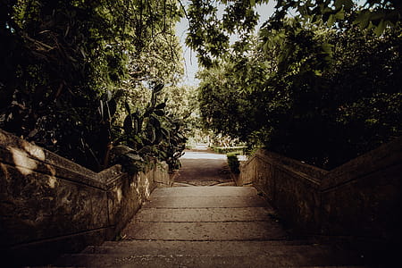 Tropical Botanical Garden in Belem, Lisbon, Portugal thumbnail