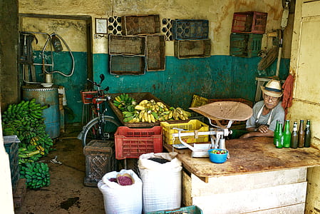 yellow and green bananas thumbnail