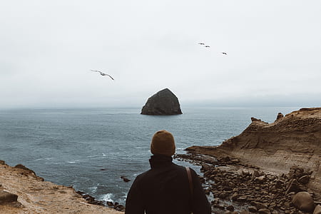 person in black top standing on mountain cliff with view of flying birds and rock formation near ocean water during daytime thumbnail