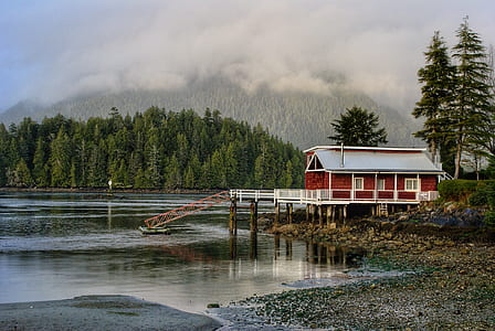 red wooden house near calm water beside green trees thumbnail