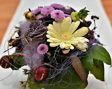 purple carnation flowers thumbnail