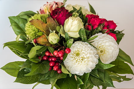 white, red, and green flowers thumbnail