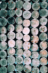 brown wood logs thumbnail