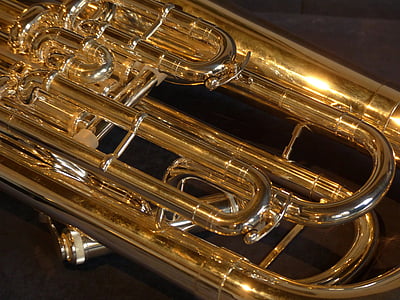 close-up photo of brass-colored wind instrument thumbnail