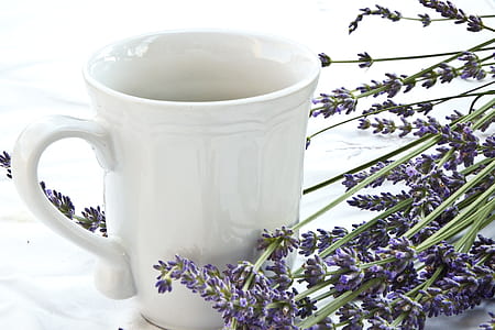 white mug beside verveine flowers thumbnail