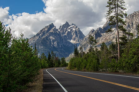 asphalt road in the middle of green trees near mountains thumbnail