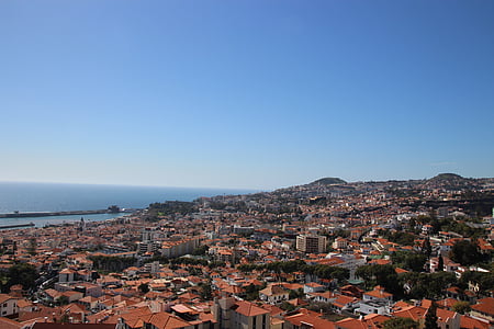 bird's-eye view of town near body of water thumbnail