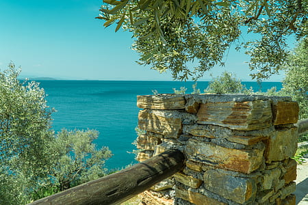 wood, sea, landscape, nature thumbnail