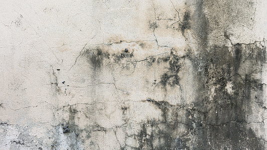 gray painted wall thumbnail