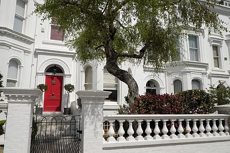 green leafed tree beside white concrete house thumbnail