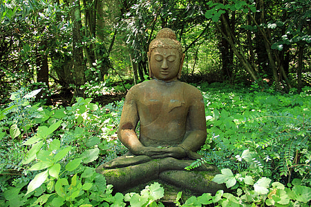 Gautama Buddha statue surrounded by grass and tall trees thumbnail