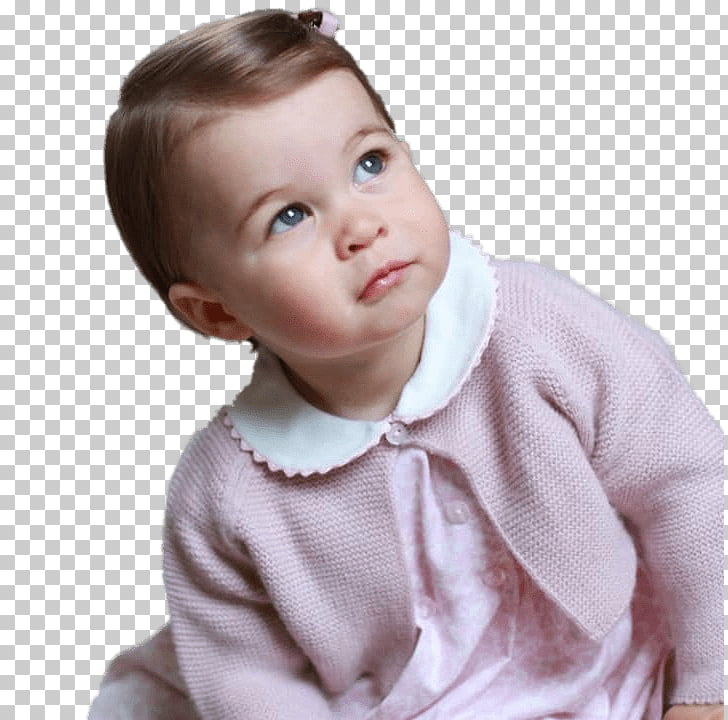 Catherine Duchess Of Cambridge Wedding Of Prince William And