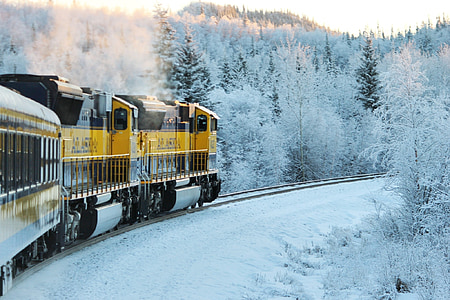 yellow and brown train surrounded by trees covered with snow thumbnail