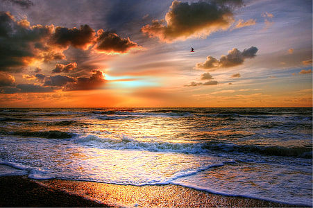 photography of ocean during sunset thumbnail