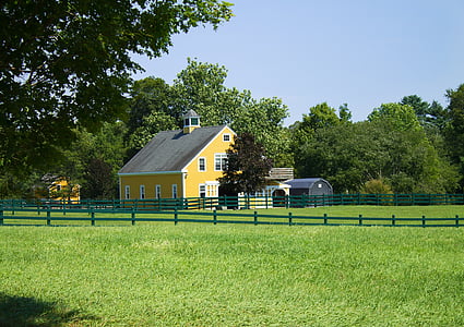 yellow concrete building near tree thumbnail