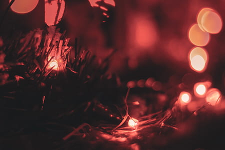 Silhouette of Grass on Bokeh Photography thumbnail