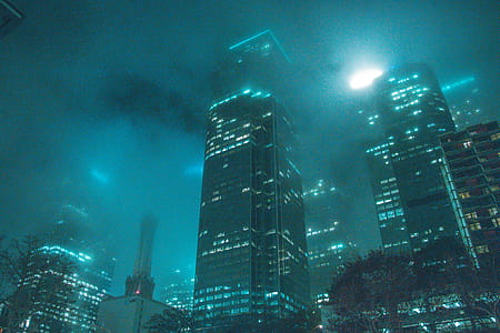High-rise Building Beside Buildings during Night thumbnail