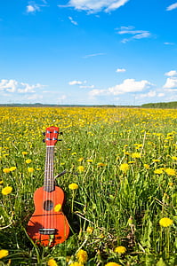 brown ukulele on yellow petaled flower field under blue and white sky during daytime thumbnail