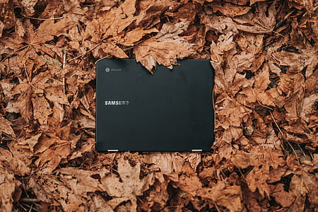 black samsung device on leaves thumbnail