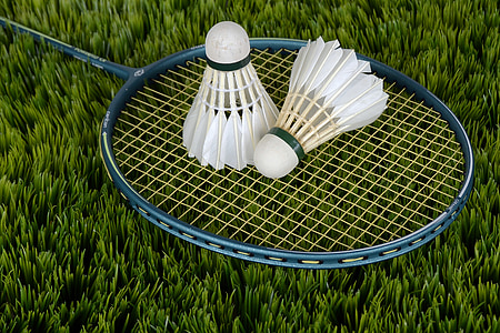 two white shuttlecocks placed on blue badminton racket thumbnail