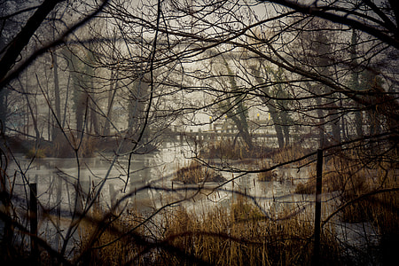 river near trees thumbnail