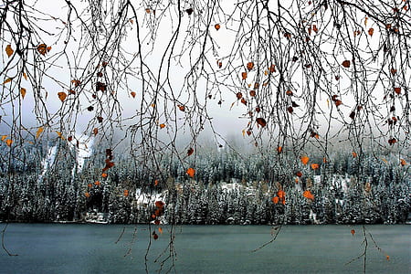landscape photography of body of water thumbnail