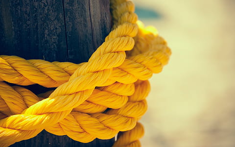 close-up photo of yellow rope tied on wood thumbnail