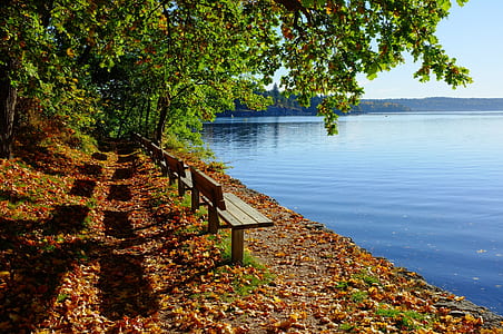 brown wooden benches beside body of water under trees during daytime thumbnail