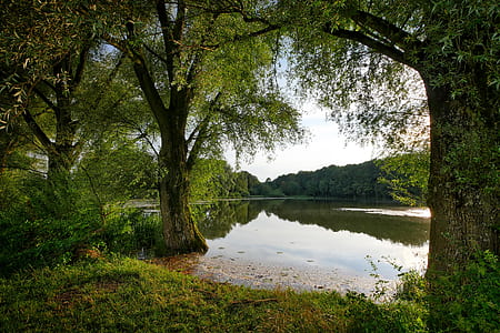 body of water during daytime thumbnail