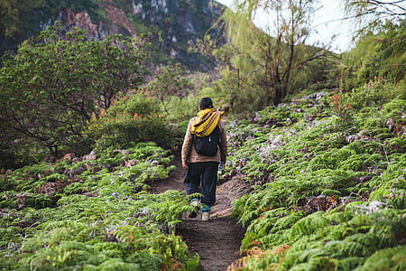 Hiking The Path Up Photo thumbnail