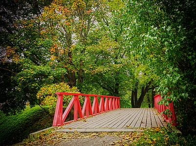 red and brown wooden bridge surrounded by green leaf trees at daytime thumbnail