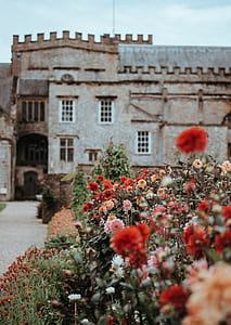 macroshot photography of red and pink outdoor flowers thumbnail