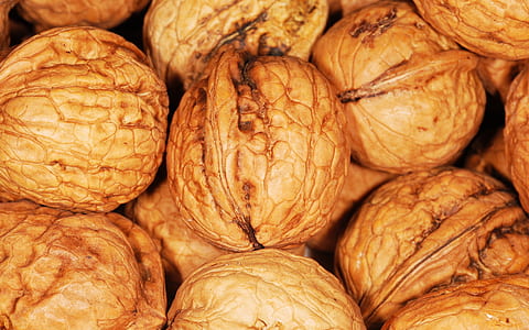 bunch of round brown nuts thumbnail