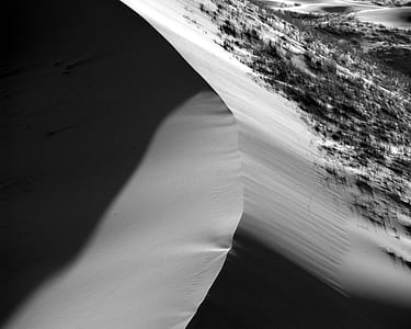 sand, dune, desert, grass thumbnail