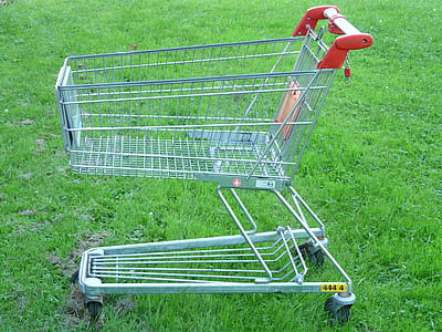 gray steel shopping cart on lawn thumbnail